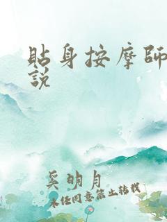 贴身按摩师 小说