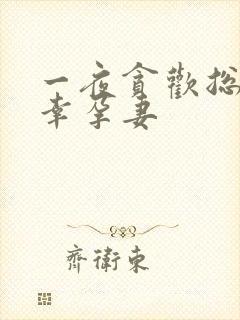 一夜贪欢总裁的幸孕妻