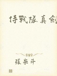 侍战队真剑者2