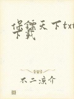 保镖天下txt下载