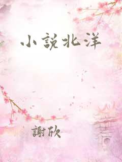 小说北洋