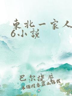 东北一家人1一6小说