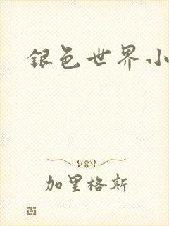 银色世界小说