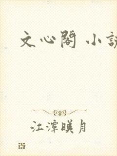 文心阁 小说