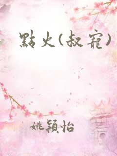 点火(叔宠)