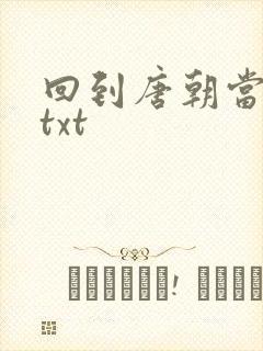 回到唐朝当皇帝txt