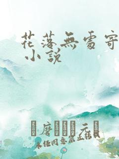 花落无处寄相思 小说