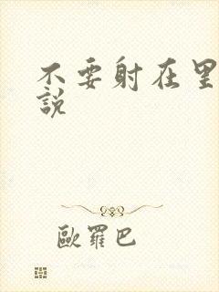 不要射在里面小说