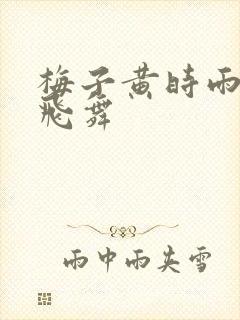 梅子黄时雨流光飞舞