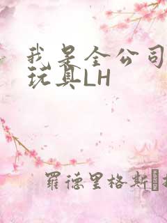 我是全公司发泄玩具LH