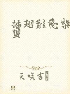 插翅难飞柴米油盐