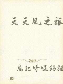 天天风之旅辅助