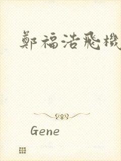 郑福浩飞机坠海