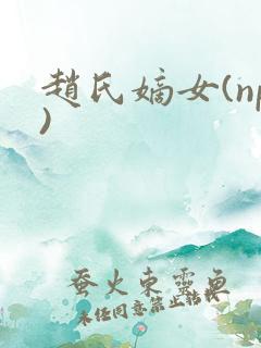 赵氏嫡女(np)