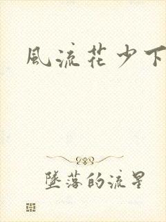 风流花少下载