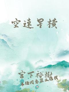 空速星横