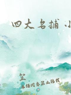 四大名捕 小说
