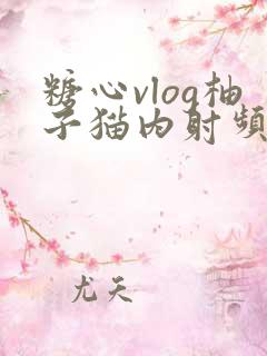 糖心vlog柚子猫内射频