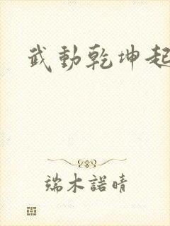 武动乾坤起点