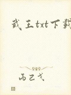武王txt下载