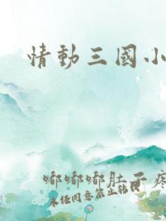 情动三国小说