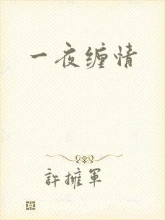 一夜缠情
