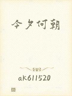 今夕何朝