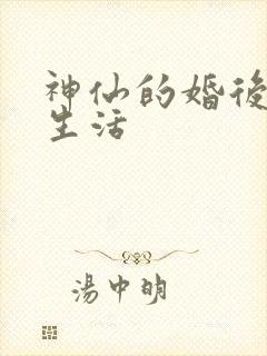 神仙的婚后都市生活