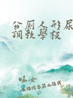 公厕人形尿便器调教学校