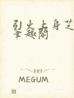 引火上身芝麻糖笔趣阁