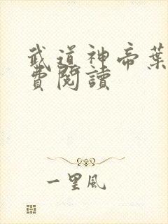 武道神帝叶辰免费阅读