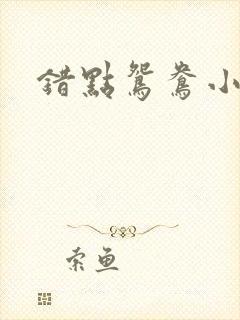 错点鸳鸯小说