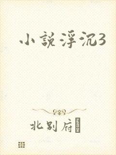 小说浮沉3