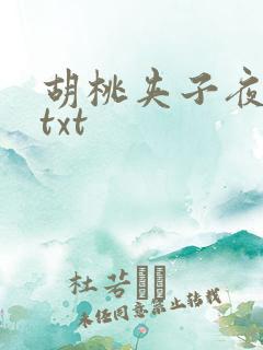 胡桃夹子夜未眠txt