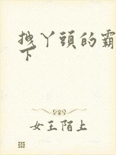 拽丫头的霸道殿下