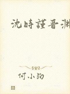 沈时谨晋渊小说