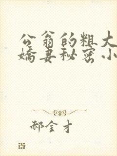 公翁的粗大放进娇妻秘密小说