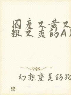 国产又黄又猛又粗又爽的A片小说