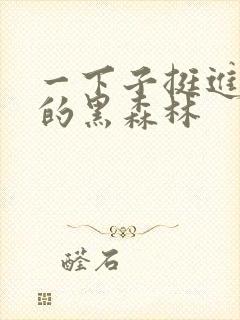 一下子挺进浓密的黑森林