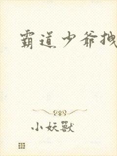 霸道少爷拽上我