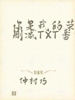 你是我的荣耀未删减TXT番外