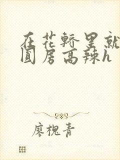 在花轿里就开始圆房高辣h