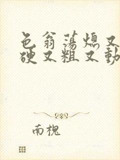 色翁荡熄又大又硬又粗又动态图