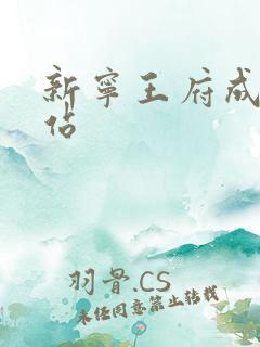新宁王府成人网站