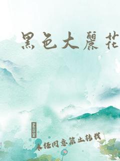 黑色大丽花图片