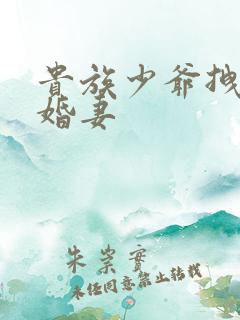 贵族少爷拽拽未婚妻