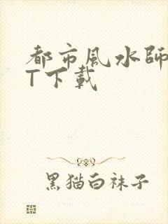 都市风水师TXT下载