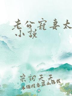 老公宠妻太甜蜜 小说