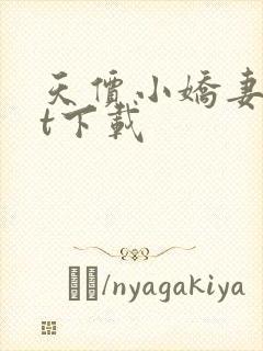 天价小娇妻txt下载