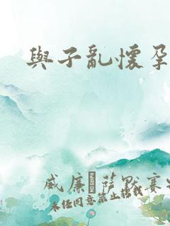 与子乱怀孕小说